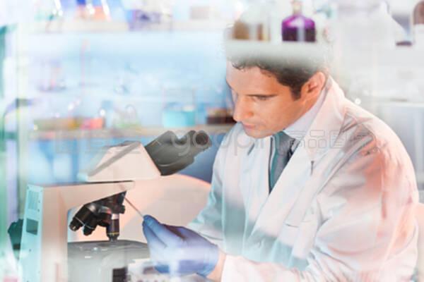 生命科学研究者在基因科学实验室中进行微观研究。